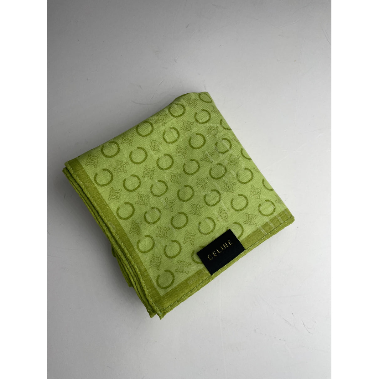 Celine Green Silk Scarf image 5