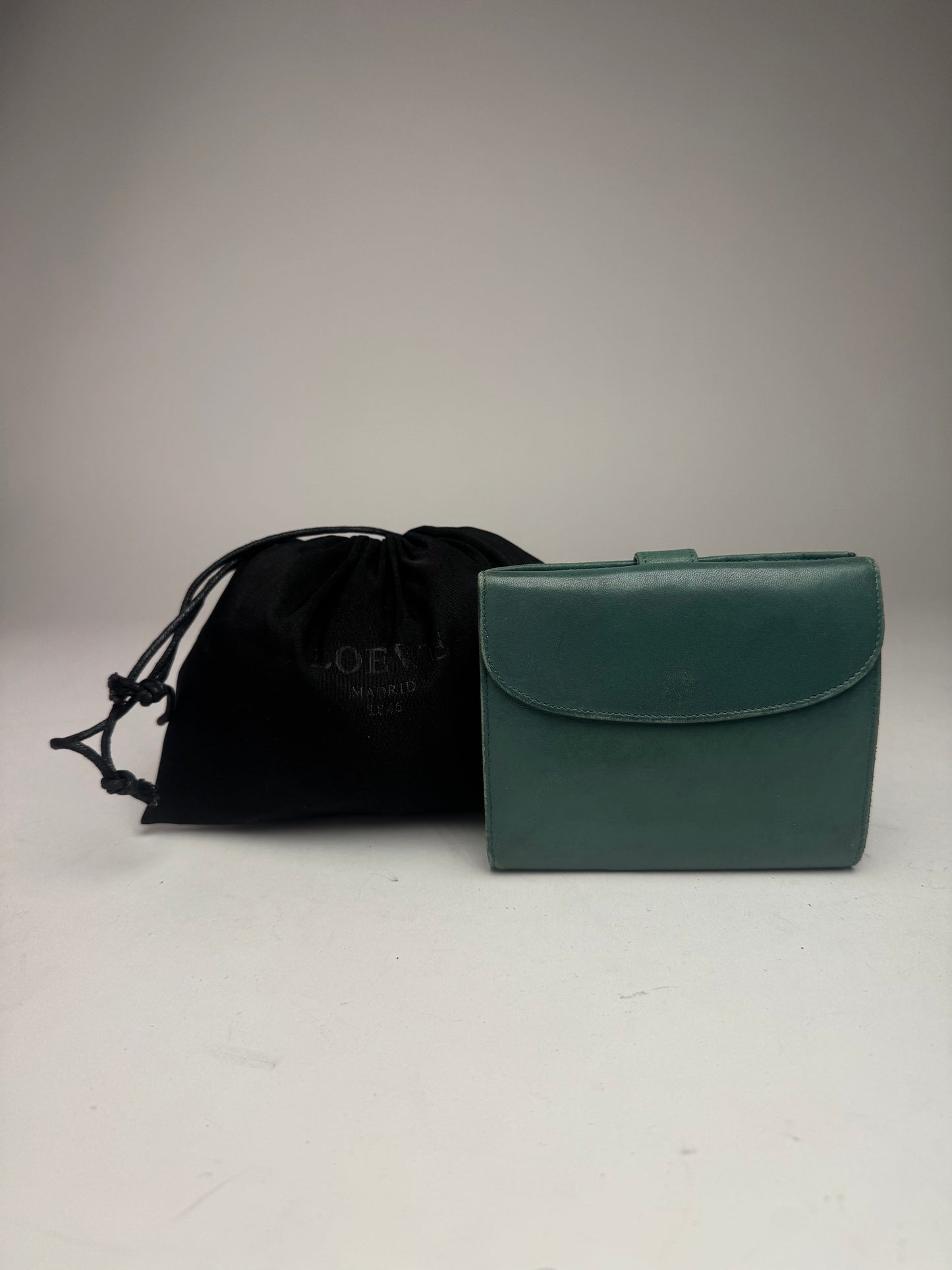 Vintage Loewe Madrid Mint Green Anagram Leather Wallet