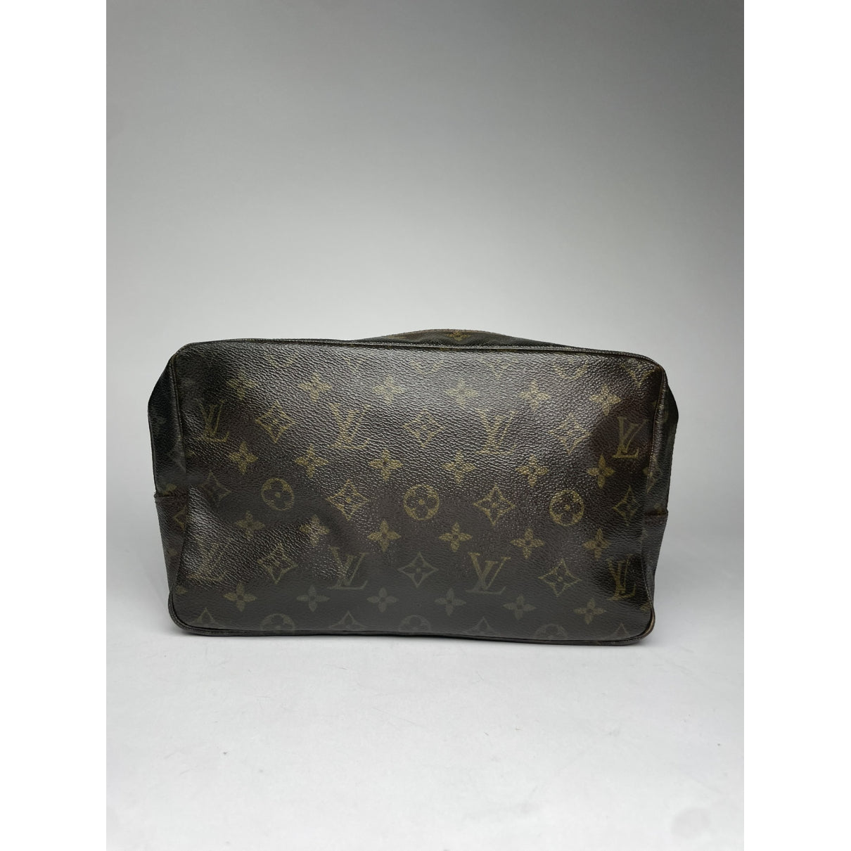 Louis Vuitton Marly Dragonne  Clutch Bag image 5