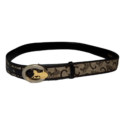 Celine Triomphe Multicolour Leather Belt image 1