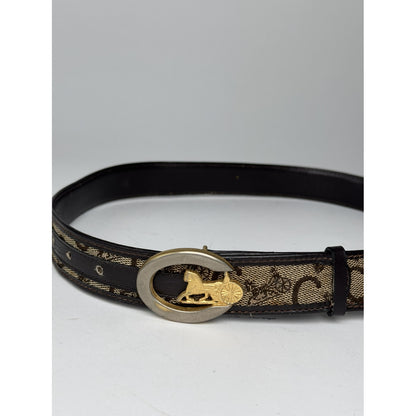 Celine Triomphe Multicolour Leather Belt image 2