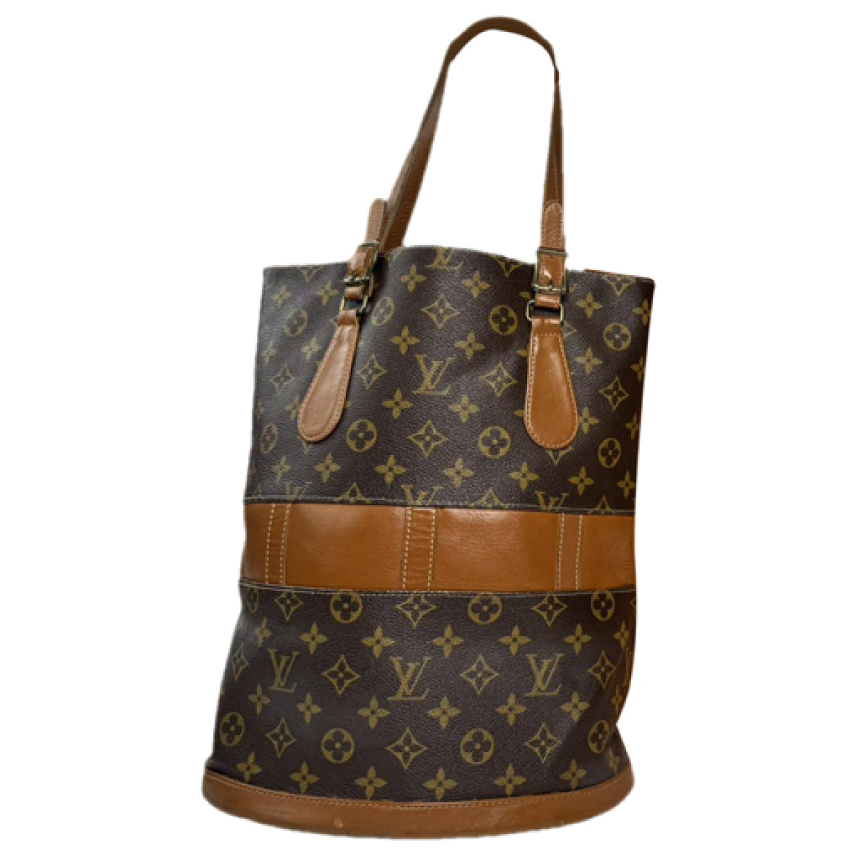 Louis Vuitton Ambre  Handbag image 1