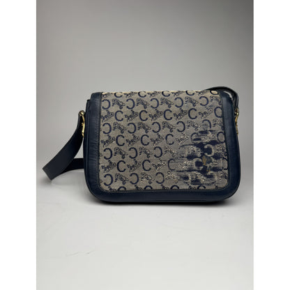 Celine Triomphe Handbag image 3