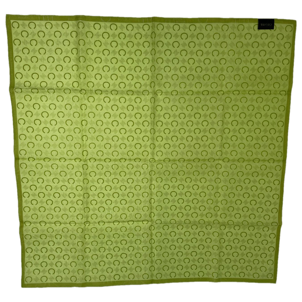 Celine Green Silk Scarf image 1