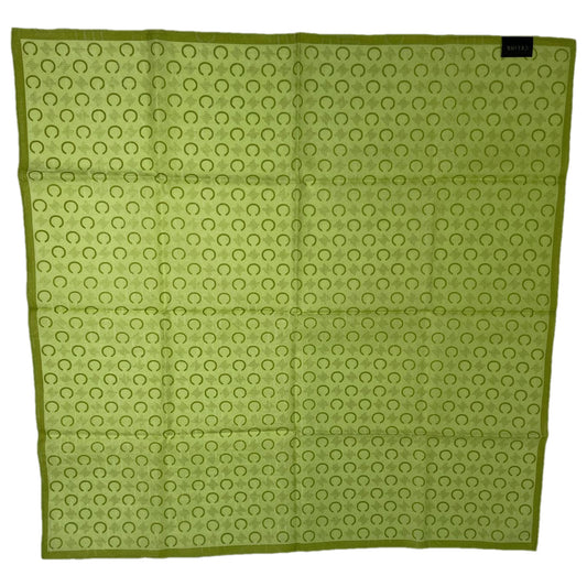 Celine Green Silk Scarf image 1