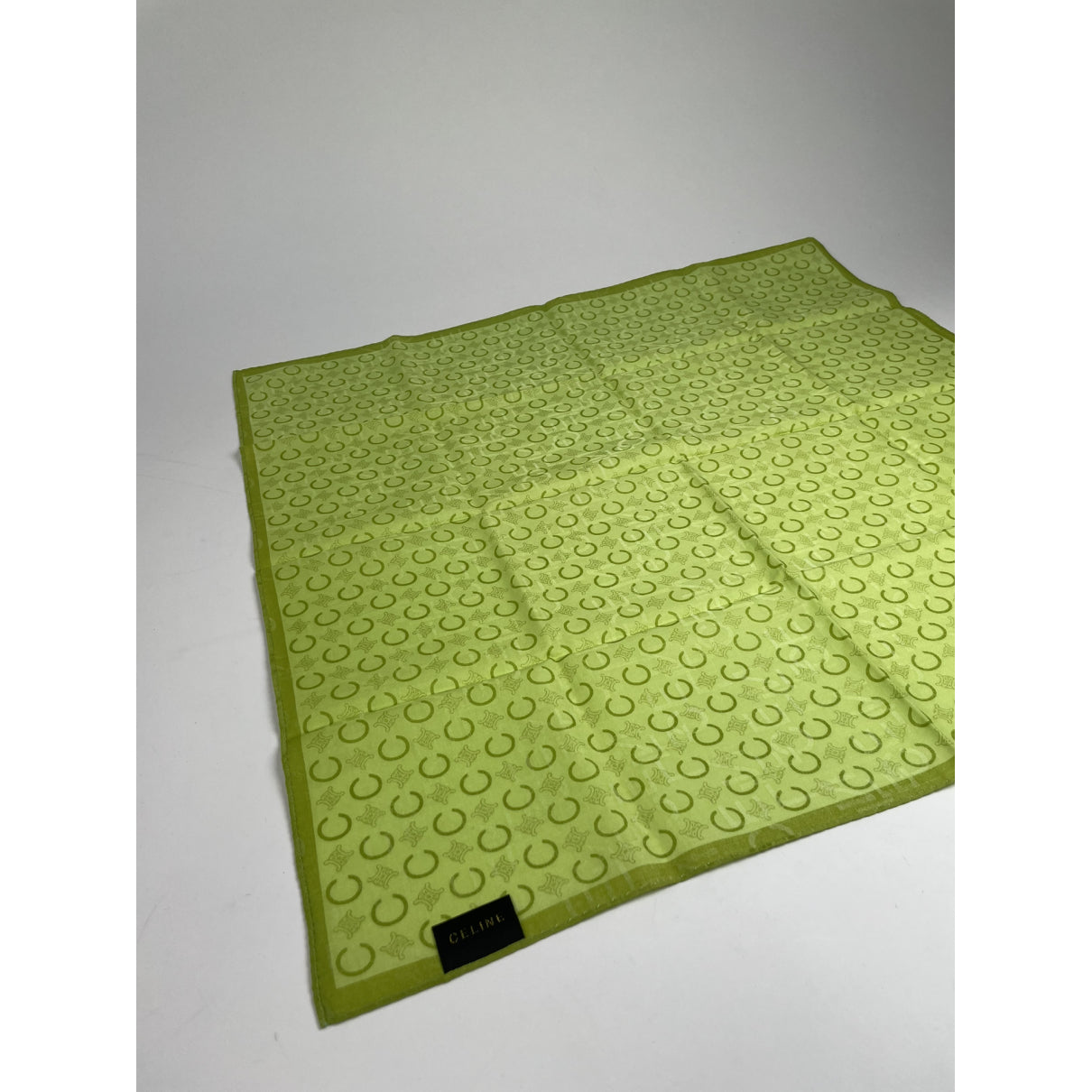 Celine Green Silk Scarf image 2