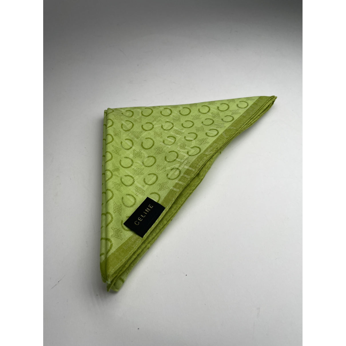 Celine Green Silk Scarf image 4