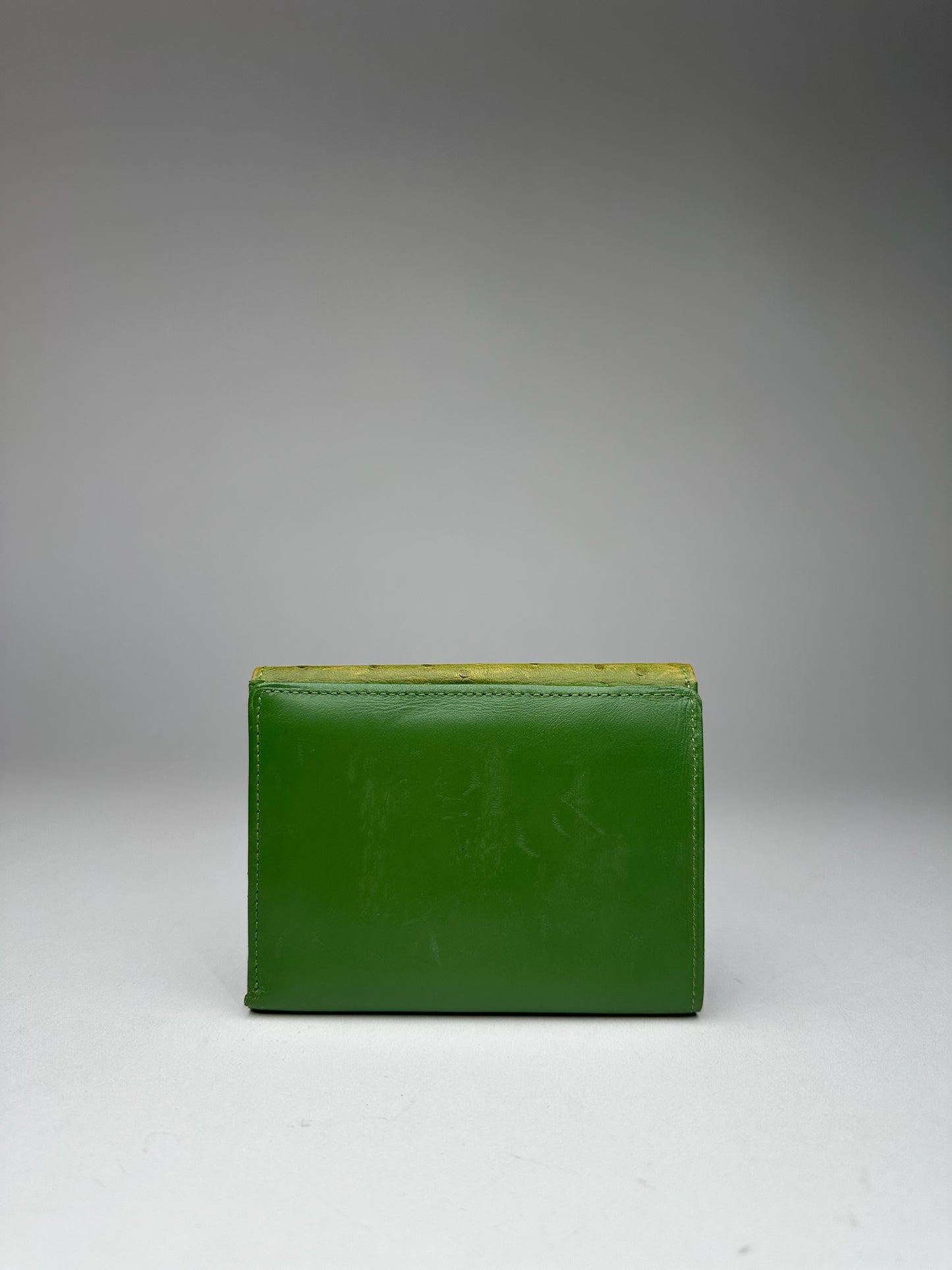 Vintage  Givenchy Ostrich Leather Wallet Green