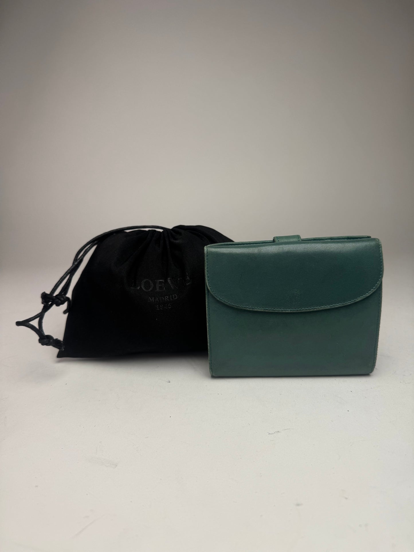 Vintage Loewe Madrid Mint Green Anagram Leather Wallet